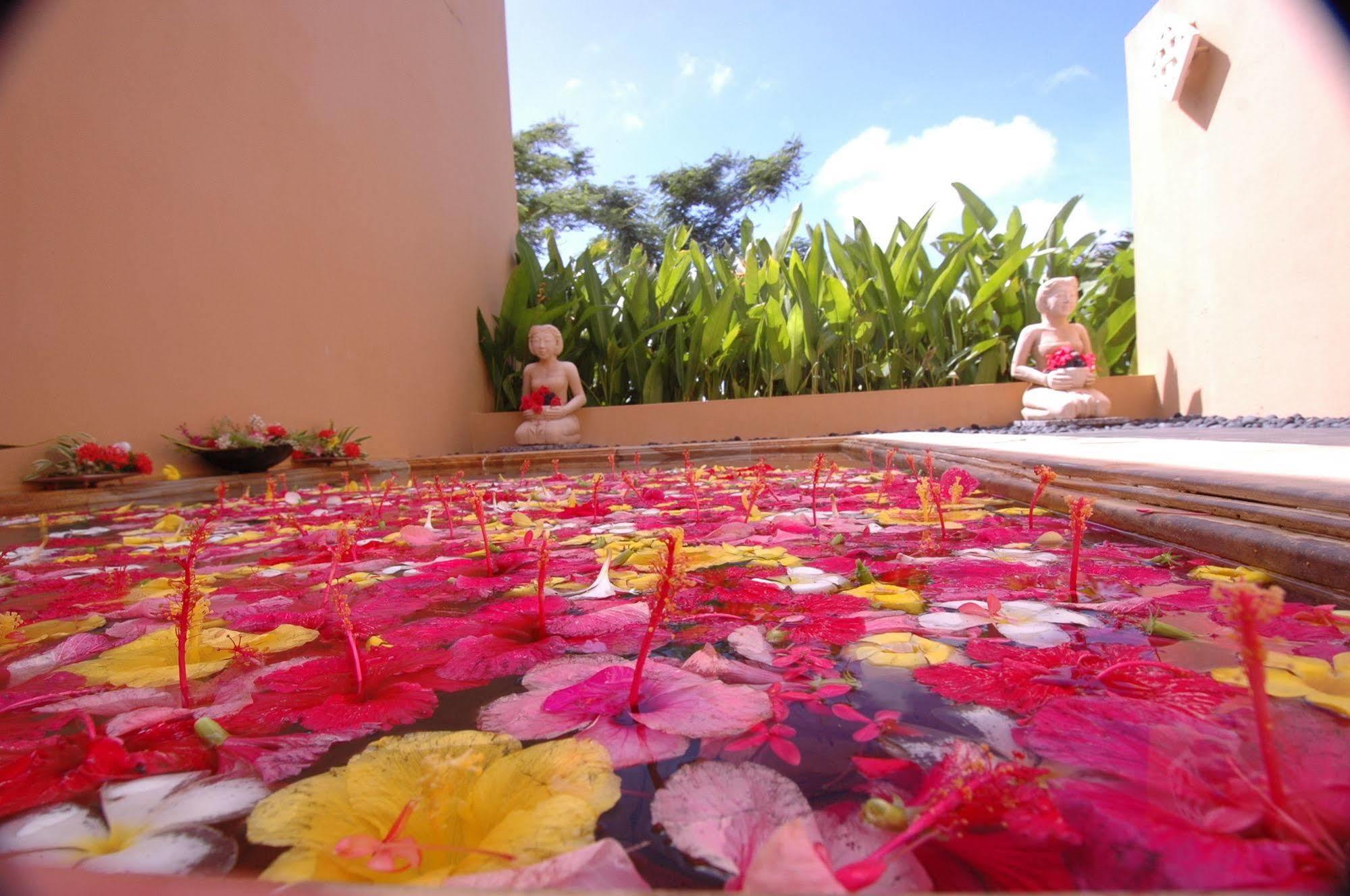 Mariana Resort & Spa San Roque Eksteriør bilde
